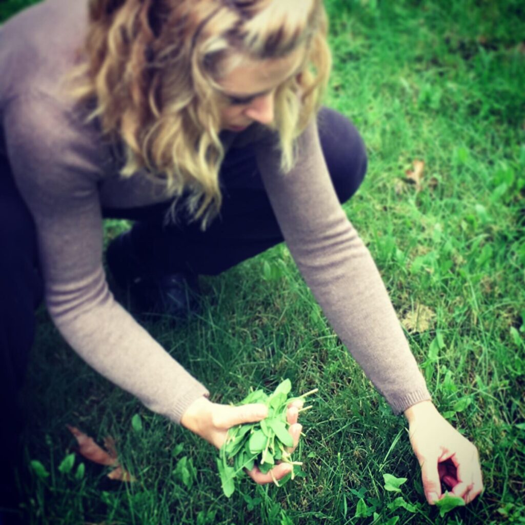 Front yard foraging